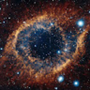 Meet your Posher, Cohen